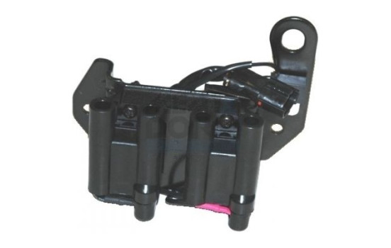 ignition coil 10441 Meat & Doria