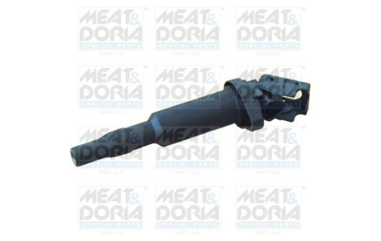 Ignition Coil 10530E Meat & Doria