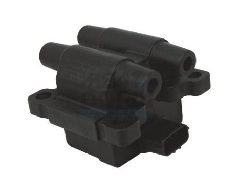 ignition coil 10691 Meat & Doria
