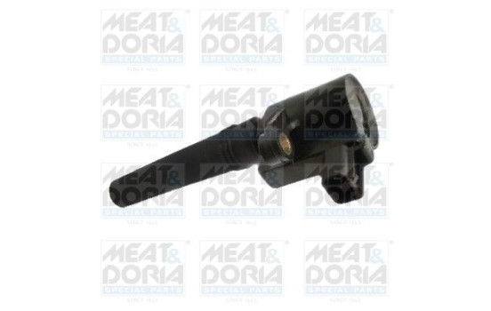 ignition coil 10714 Meat & Doria