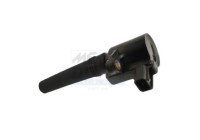 ignition coil 10714 Meat & Doria