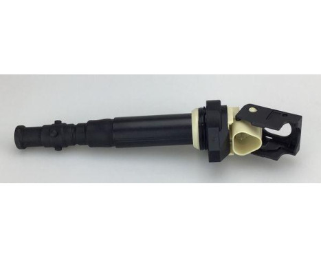 ignition coil 10796 Meat & Doria