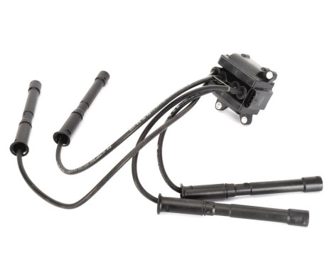 Ignition Coil BAEQ055 Magneti Marelli