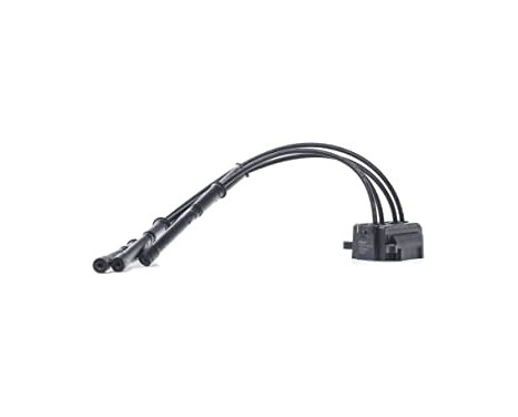 Ignition Coil CE20017-12B1 Delphi