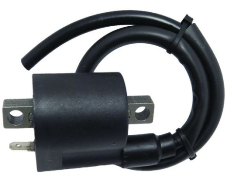 ignition coil CPS25 WAI