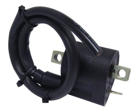 ignition coil CPS25 WAI, Image 2