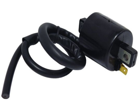 ignition coil CPS27 WAI