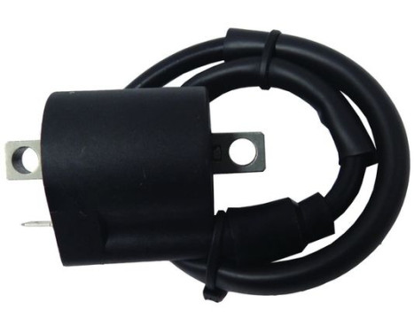 ignition coil CPS29 WAI