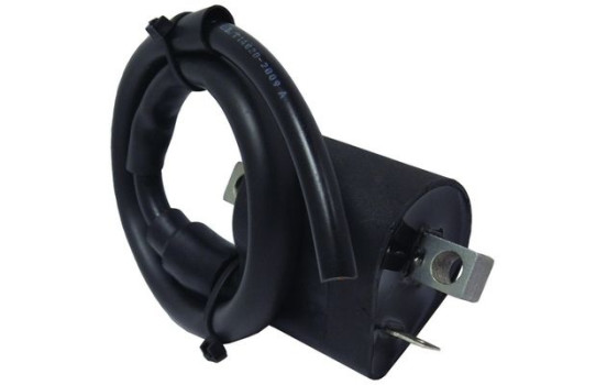 ignition coil CPS29 WAI, Image 2