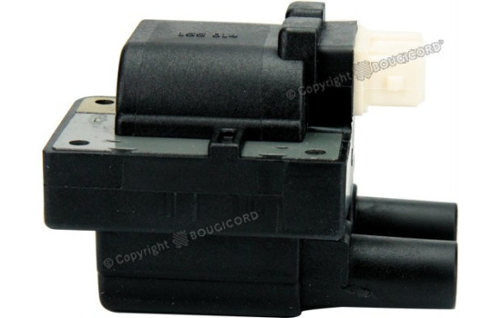 Ignition Coil EFI - BOUGICORD 155014 EFI Automotive