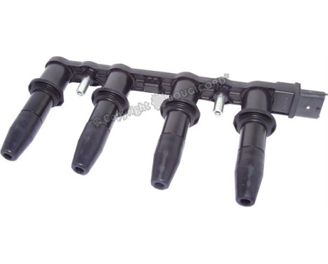 Ignition Coil EFI - BOUGICORD 155039 EFI Automotive