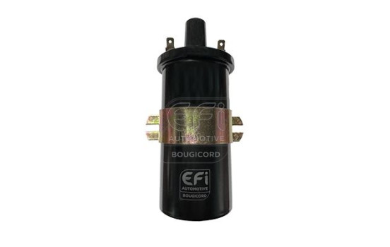 Ignition Coil EFI - BOUGICORD 155266 EFI Automotive