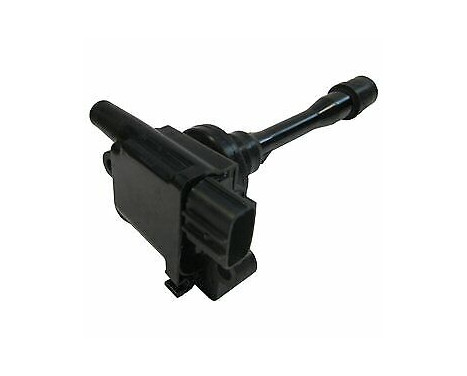 Ignition Coil GN10191-12B1 Delphi