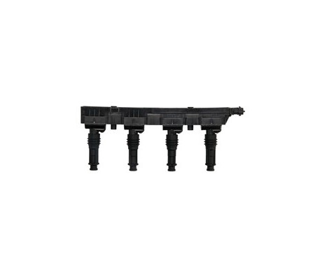 Ignition Coil GN10204-12B1 Delphi