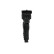 Ignition Coil GN10204-12B1 Delphi, Thumbnail 2