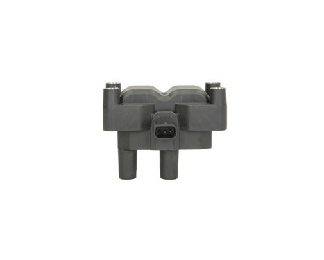 Ignition Coil GN10205-12B1 Delphi