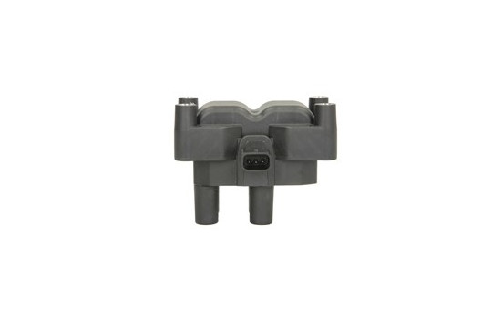 Ignition Coil GN10205-12B1 Delphi