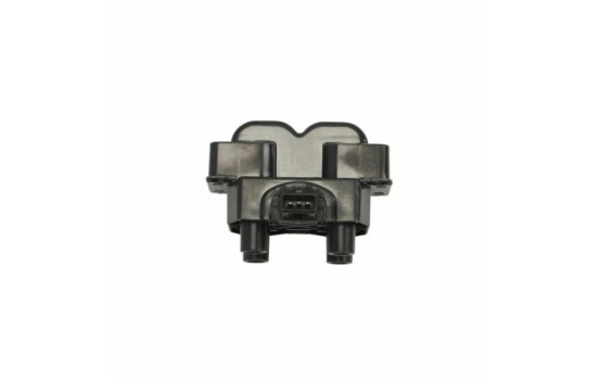 Ignition Coil GN10211-12B1 Delphi
