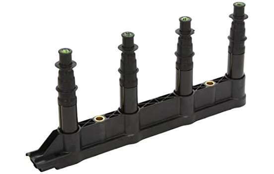 Ignition Coil GN10239-12B1 Delphi
