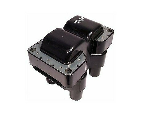 Ignition Coil GN10262-12B1 Delphi