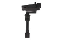 Ignition Coil GN10301-12B1 Delphi