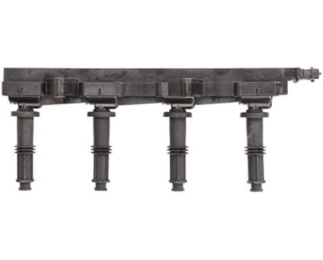 Ignition Coil GN10363-12B1 Delphi