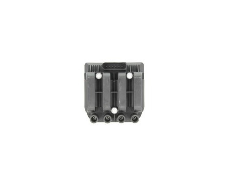 Ignition Coil GN10383-12B1 Delphi