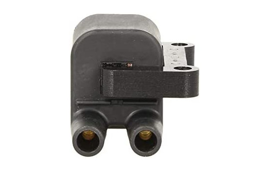 Ignition Coil GN10397-12B1 Delphi