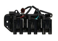 Ignition Coil GN10417-12B1 Delphi