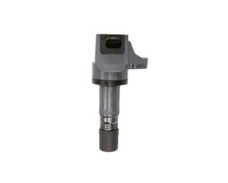 Ignition Coil GN10421-12B1 Delphi