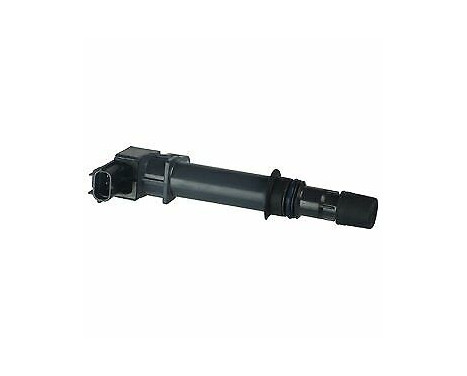 Ignition Coil GN10456-12B1 Delphi