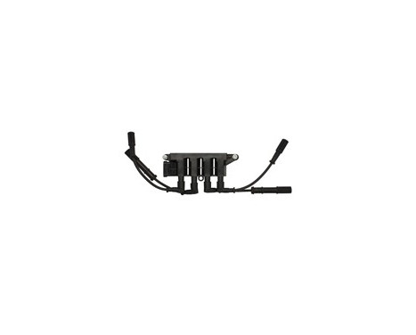 Ignition Coil GN10492-12B1 Delphi