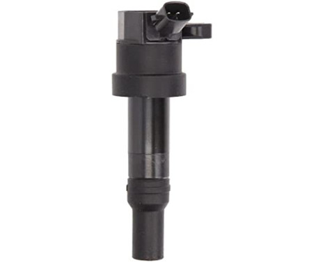 Ignition Coil GN10585-12B1 Delphi