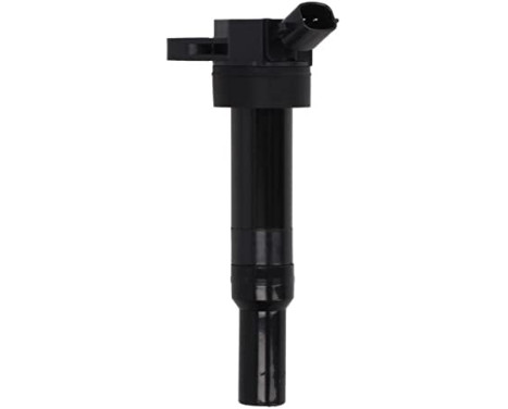 Ignition Coil GN10633-12B1 Delphi