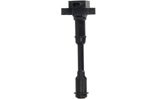 Ignition Coil GN10644-12B1 Delphi