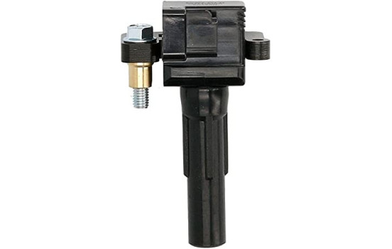 Ignition Coil GN10698-12B1 Delphi