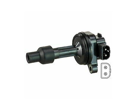 Ignition Coil GN10769-12B1 Delphi