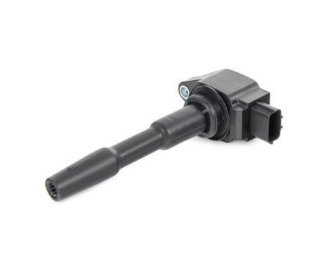 Ignition Coil GN10798-12B1 Delphi