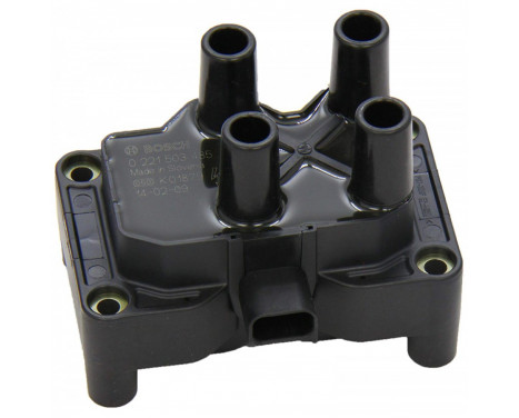 Ignition Coil ZS-K-2X2 Bosch