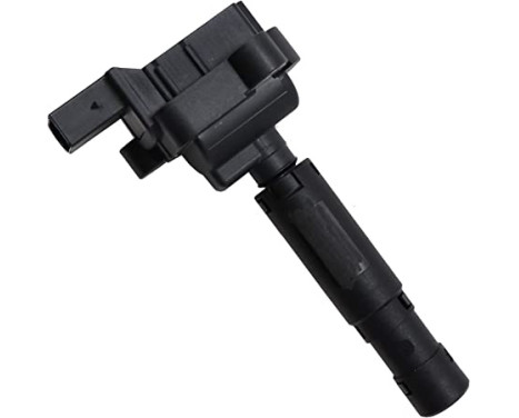 Ignition Coil ZS077 Borgwarner Beru