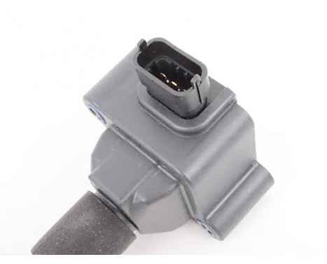 Ignition Coil ZS178 Borgwarner Beru