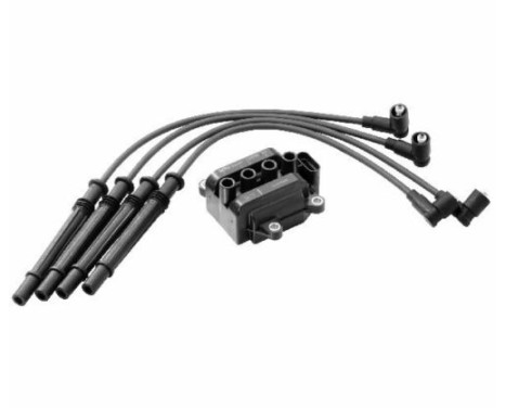 Ignition Coil ZS325 Borgwarner Beru