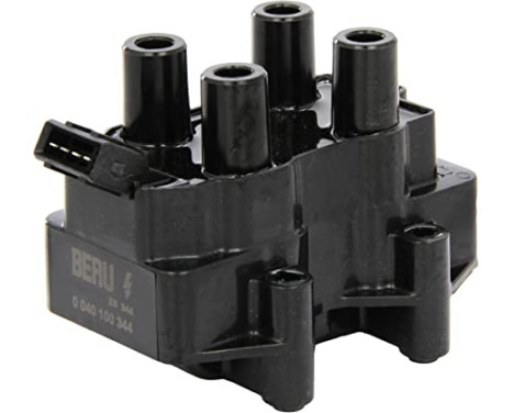 Ignition Coil ZS344 Borgwarner Beru
