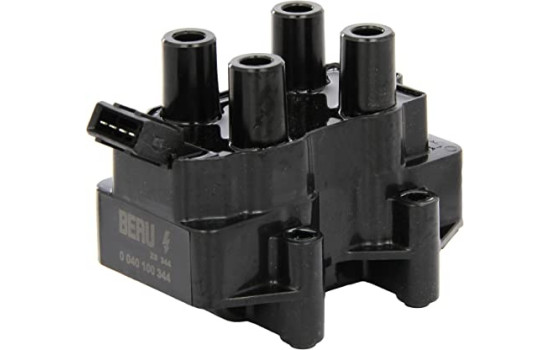 Ignition Coil ZS344 Borgwarner Beru