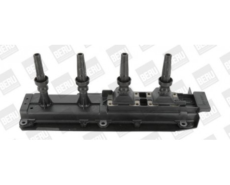 Ignition Coil ZS349 Borgwarner Beru
