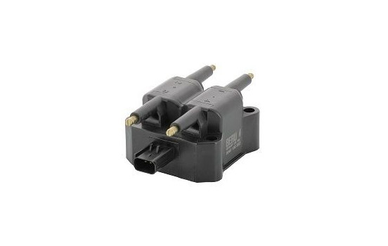 Ignition Coil ZS382 Borgwarner Beru