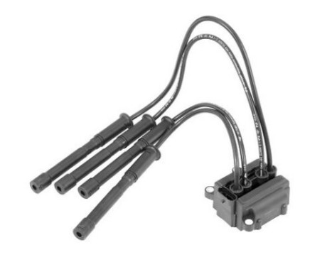 Ignition Coil ZS454 Borgwarner Beru