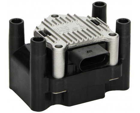 Ignition Coil ZSE003 Borgwarner Beru