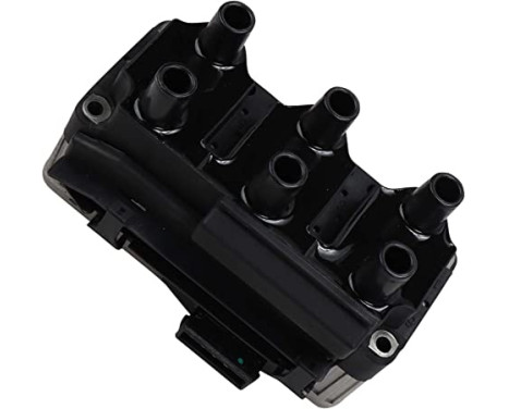 Ignition Coil ZSE004 Borgwarner Beru