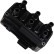 Ignition Coil ZSE004 Borgwarner Beru